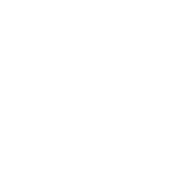 Department of Social Services