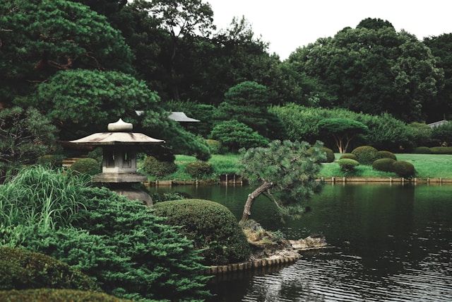 LWC Garden